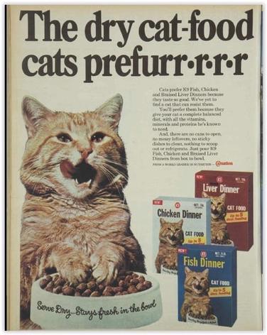 cat advertisements