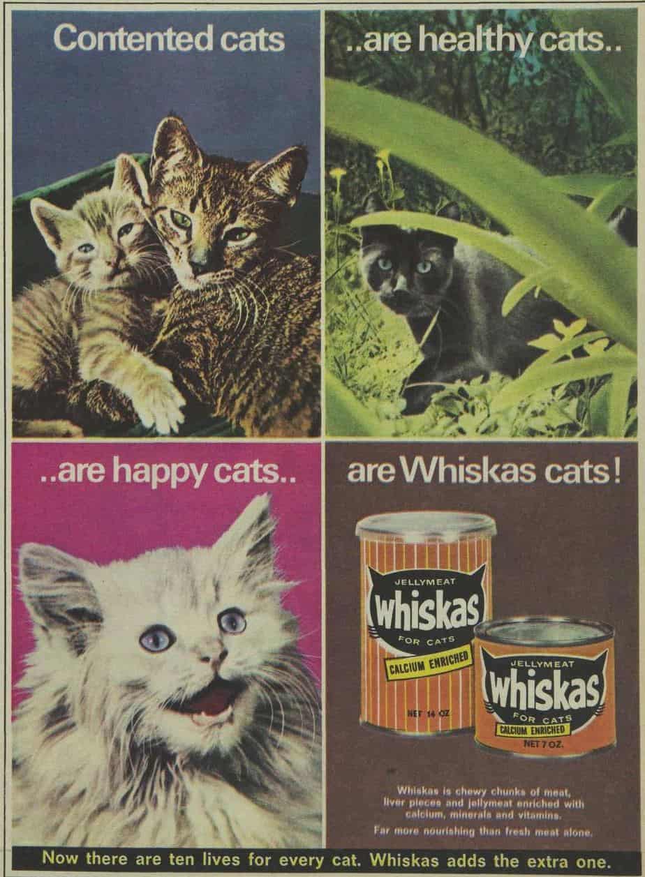 Old cat food commercials sale