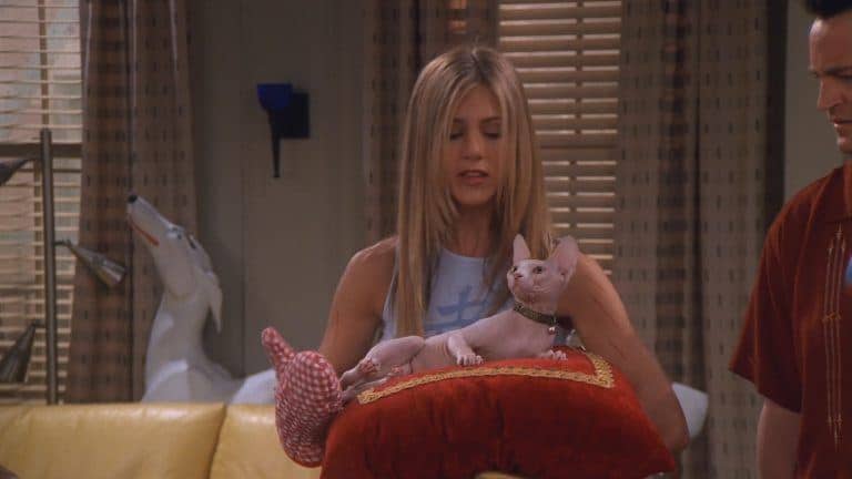 Just for Fun: Which ‘Friends’ Pet Are You?