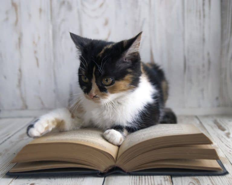 Do You Know The Scientific Names of Your Pets?