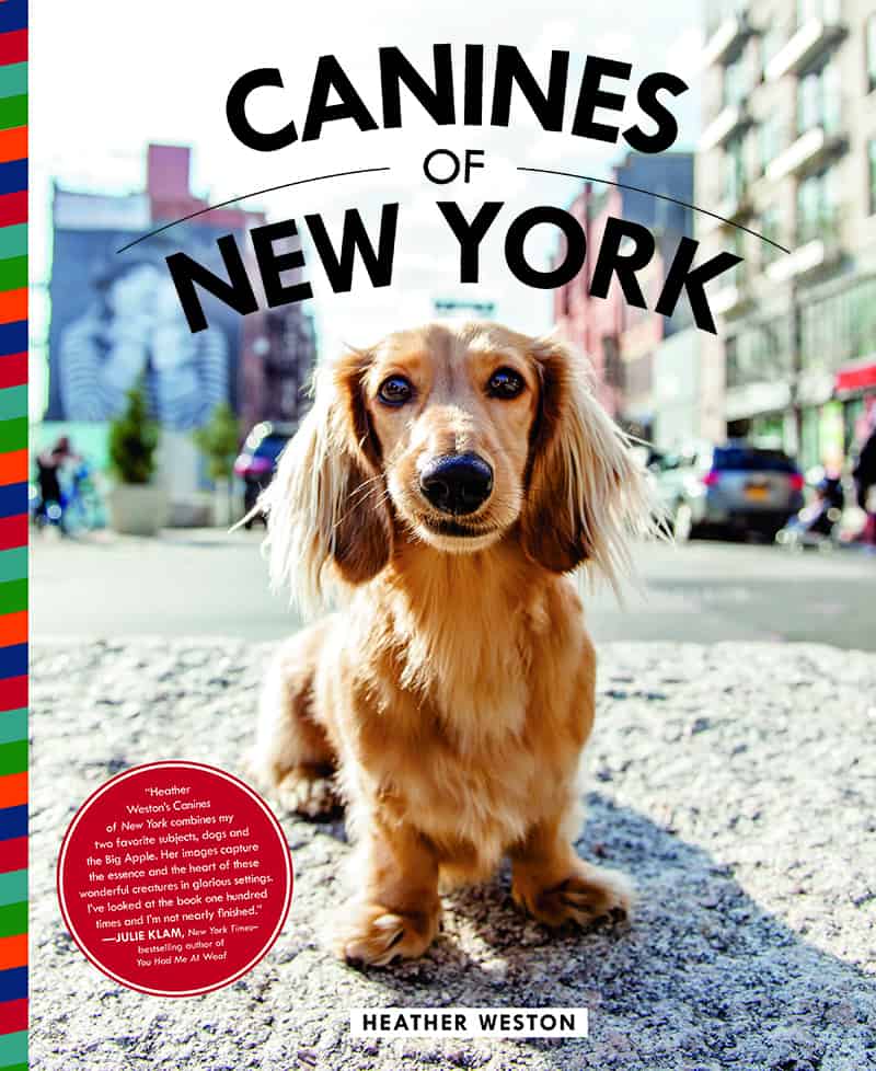 Canines Of New York