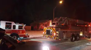 Hero Cat Saves Family From House Fire