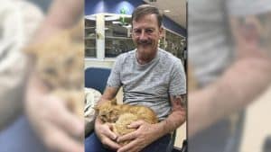 Amazing! Florida Man Reunited With a Cat He Lost 14 Years Ago