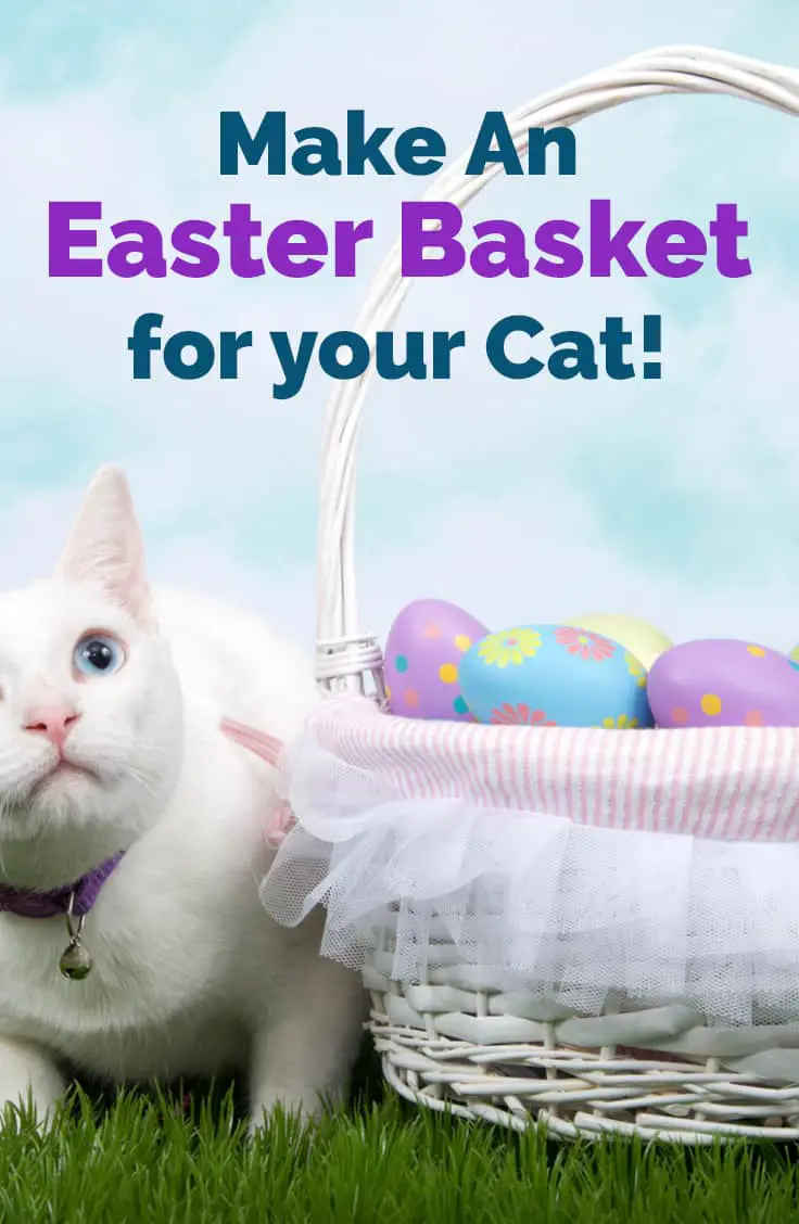 easter basket cat