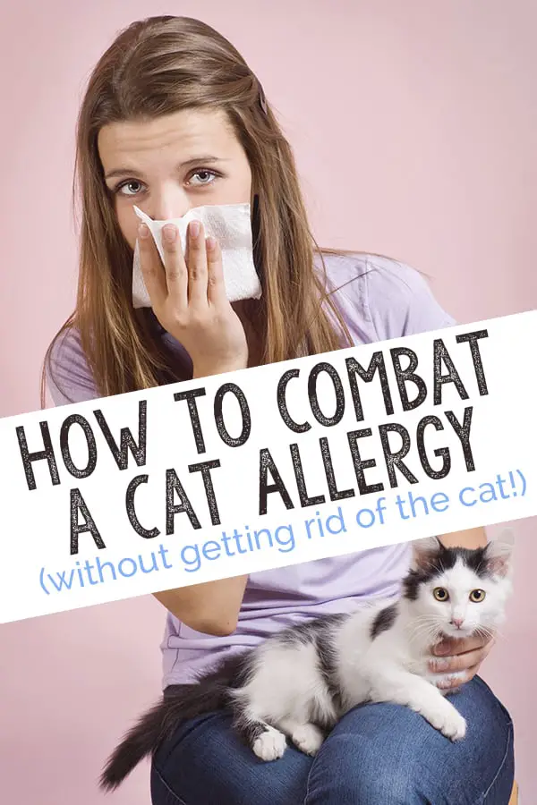 Allergy Symptoms Of Cats at David Dunfee blog