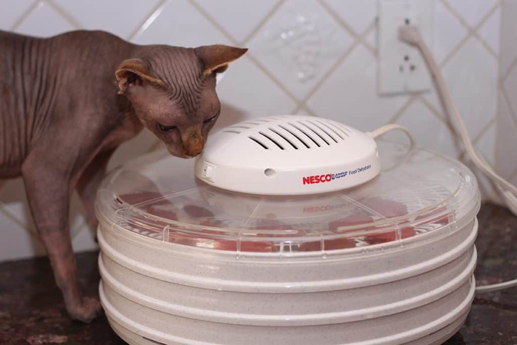 making cat treats