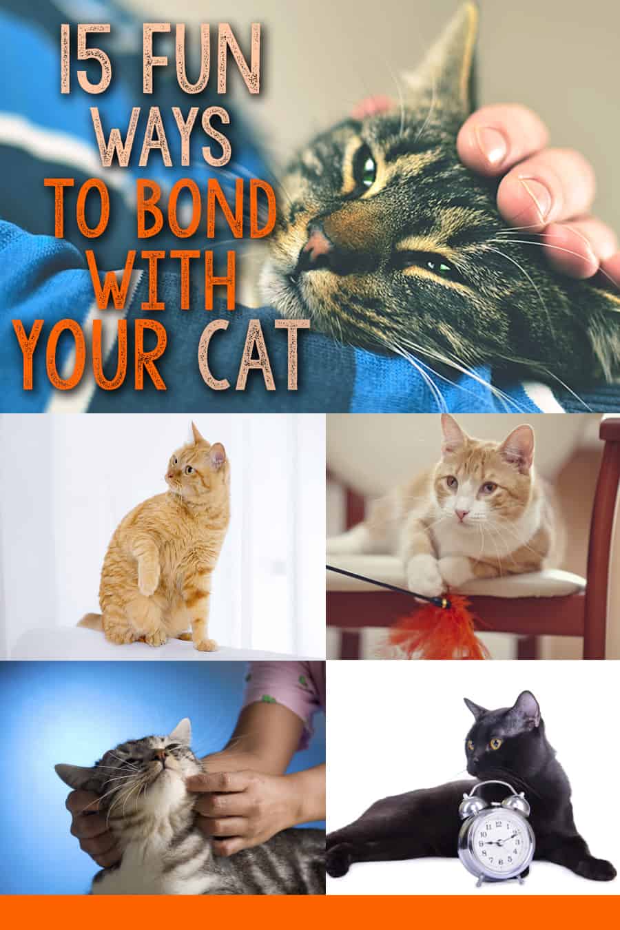 bond with cat_pin