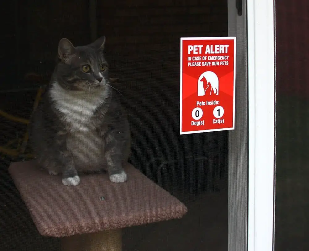 pet alert sticker