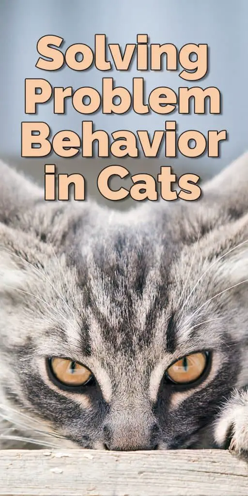 what is problem solving behavior in animals