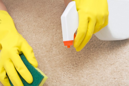 cleaning stain on a carpet