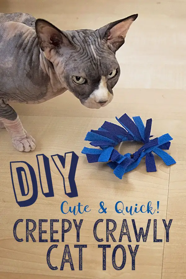 DIY creepy crawly cat toys