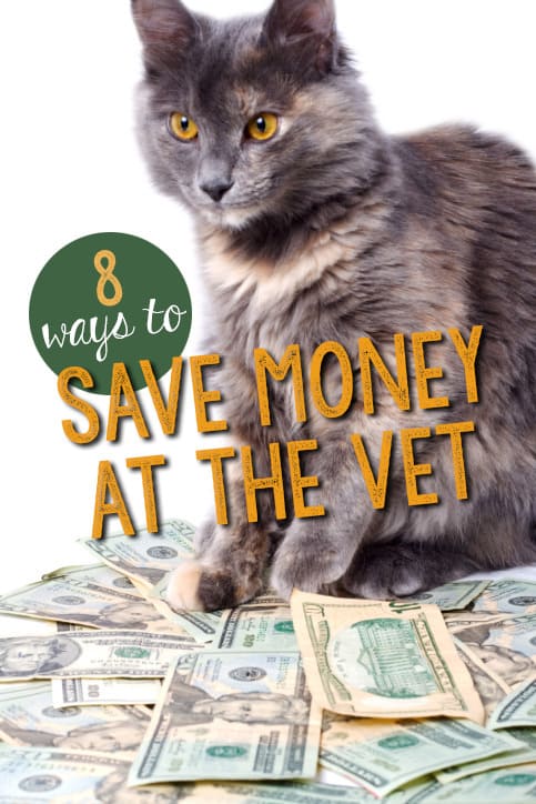 ways to save money at the vet
