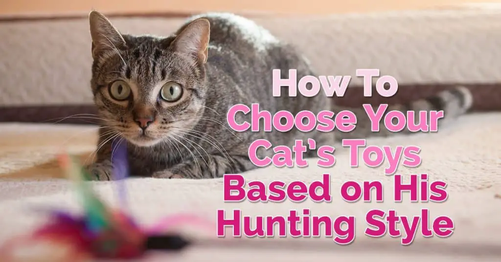 toys for cats that like to hunt