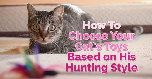 best cat hunting toys