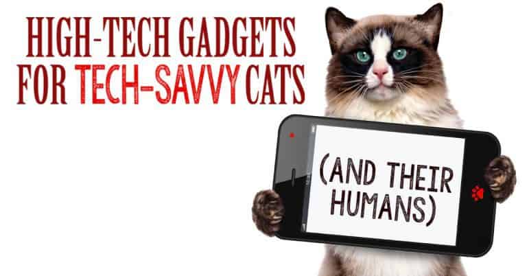 High-Tech Gadgets for Tech-Savvy Cats (and Their Humans)
