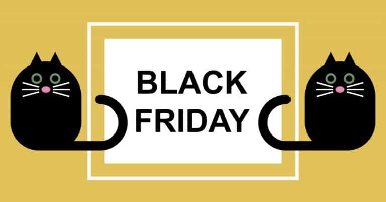 The Best Black Friday Deals for Cats