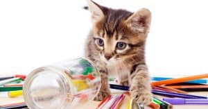 10 Famous Artists and The Pets Who Inspired Them