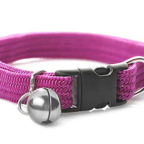 cat collar with bell