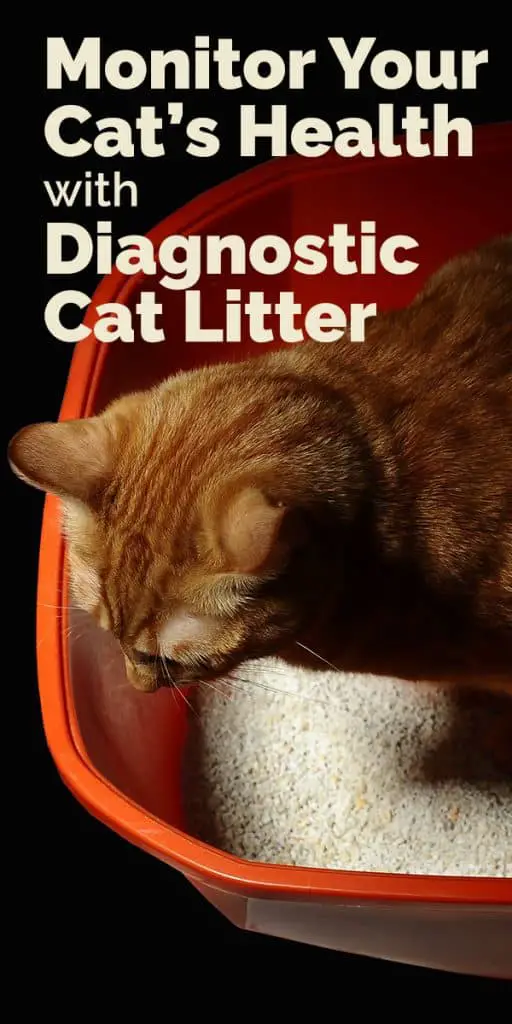 diagnostic cat litter