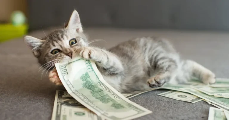 What Costs More to Own: a Cat or a Dog?