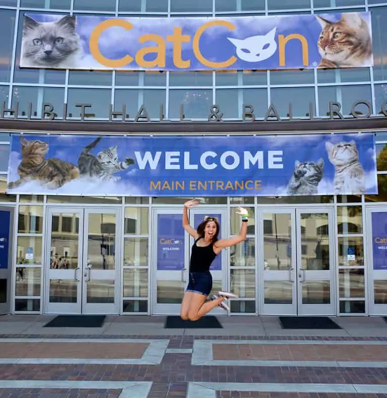 CatCon, The Biggest CatCentric Pop Culture Event In The World Returns