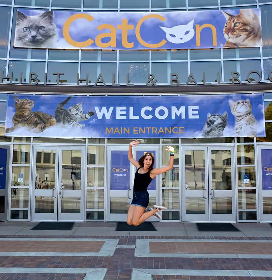 Jumping at catcon