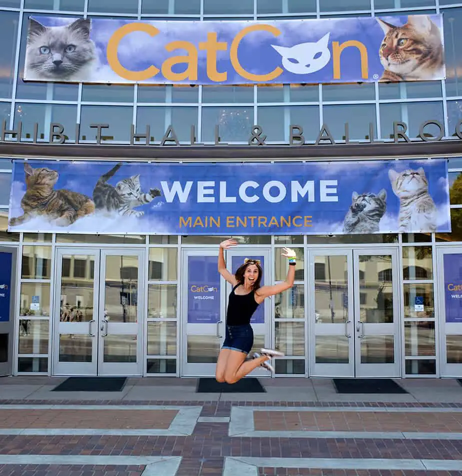 Catcon The Biggest Cat Centric Pop Culture Event In The World Returns The Catington Post