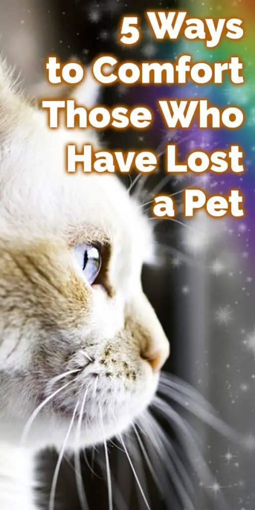 ways to comfort those who lost a pet pin