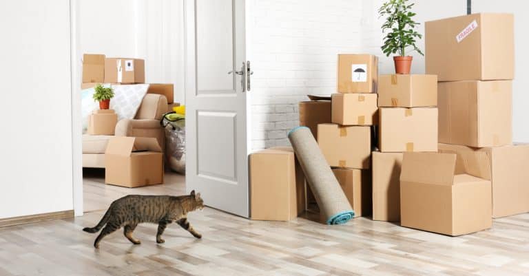 Survey Shows Pets Are a Huge Factor When It Comes to Moving