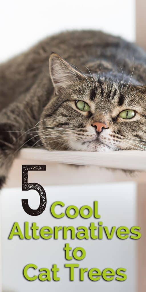 cool alternatives to cat trees pin