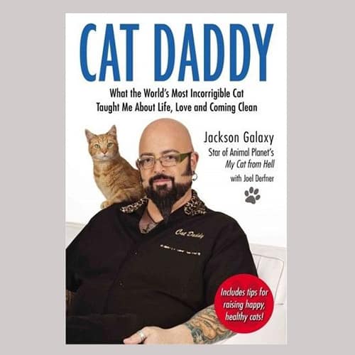 cat-daddy-book