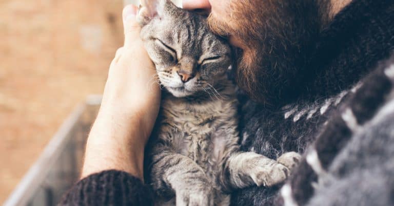 5 Items for $5 or Less That Could Save Your Cat’s Life