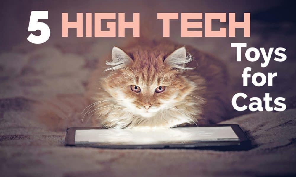 high tech cat toys