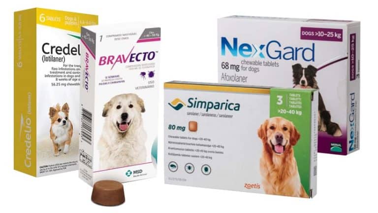 WARNING: Flea and Tick Medications Linked to Seizures, Muscle Tremors in Cats & Dogs