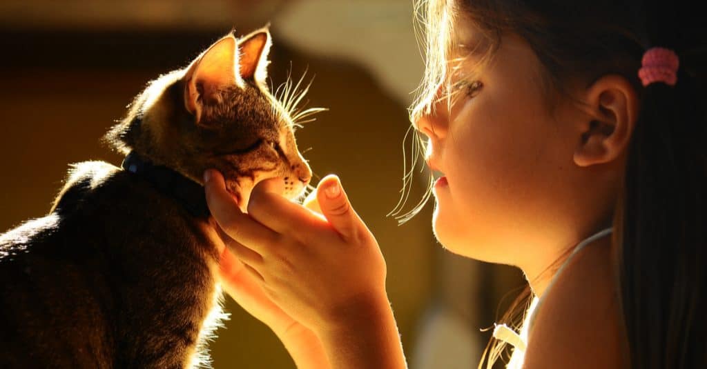 child and cat