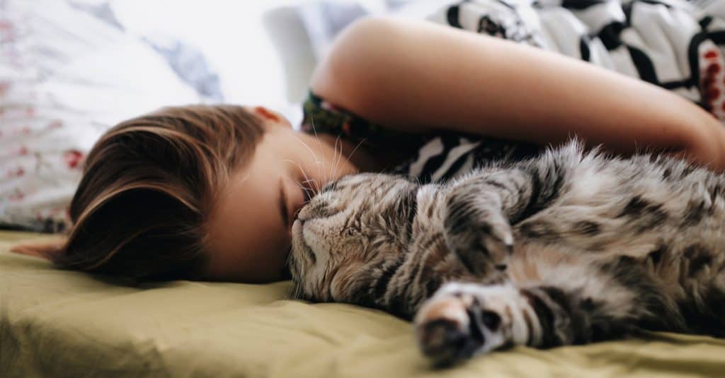 child laying with cat