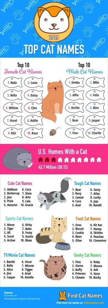 top cat names 2019