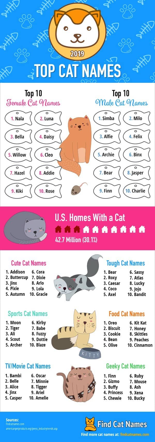 Find Cat Names Top Names