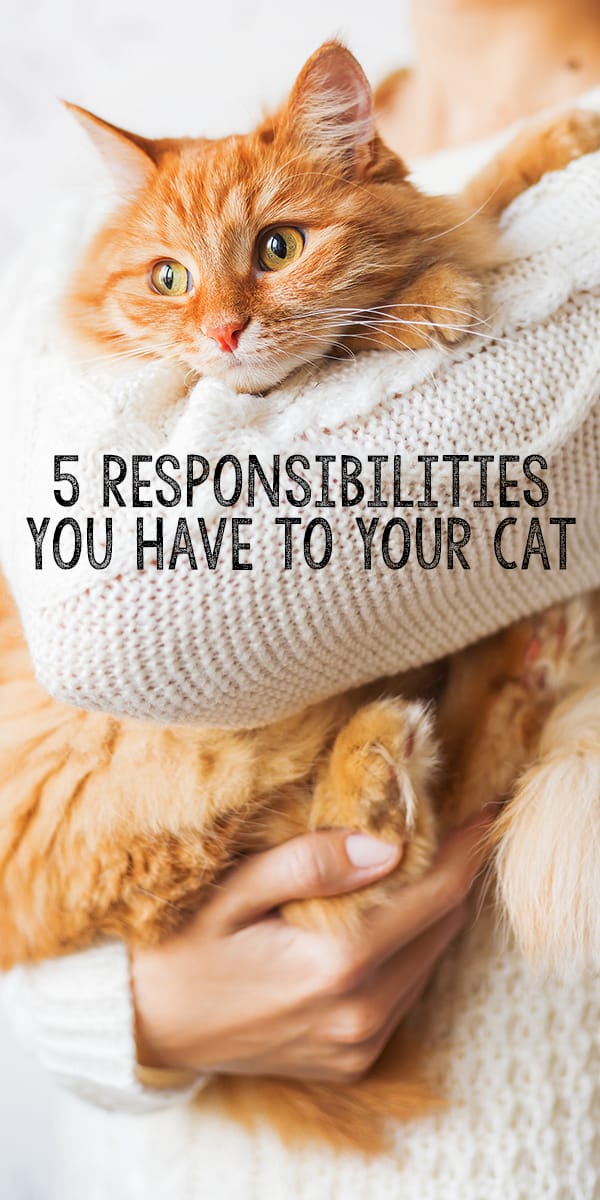 5-responsibilities-pinterest