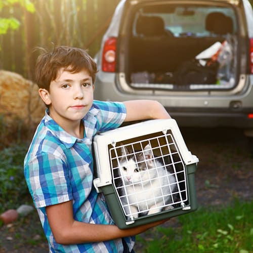 cat carrier