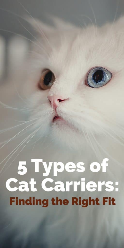 Types of cat outlet carriers