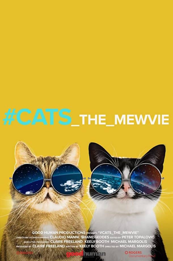 6 Cat Documentaries You Should Watch Right Meow The Catington Post