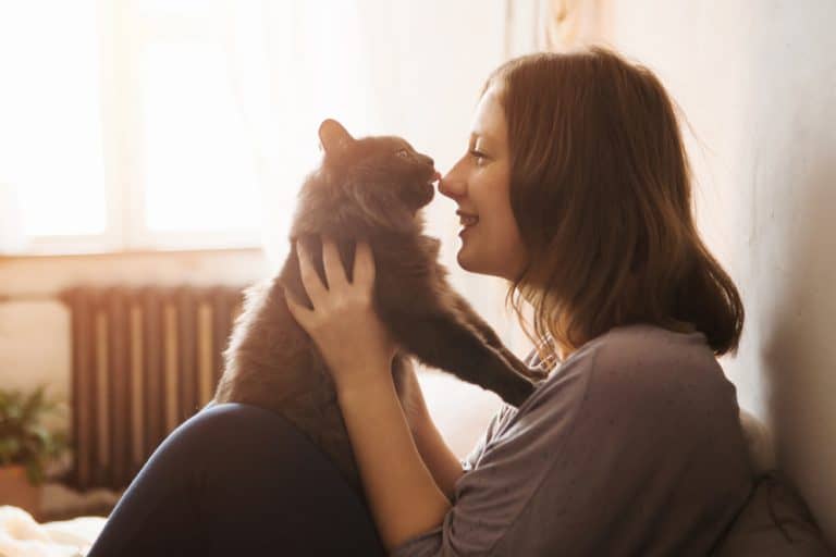 Stress Getting You Down? 4 Reasons Why You Should Get a Cat