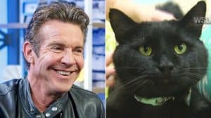 Dennis Quaid the Actor Adopts Dennis Quaid the Cat