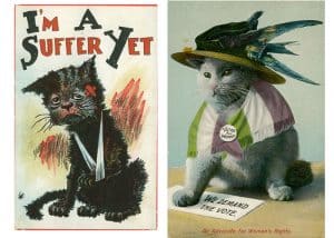 What Did Cats Have to Do with Women’s Suffrage?