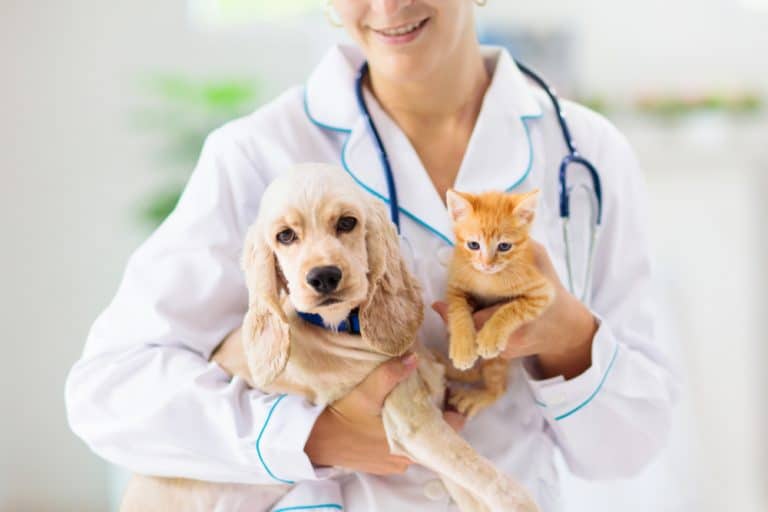Pet Insurance Alternative Promises to Make Vet Care Affordable for All—With No Exceptions