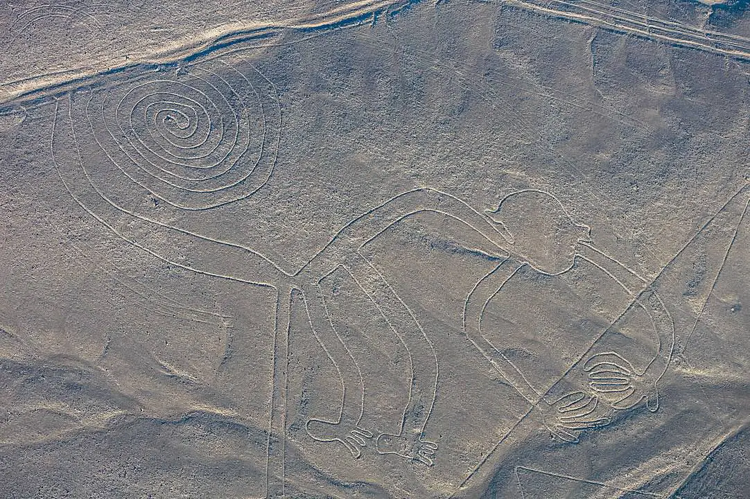 1082px-Líneas_de_Nazca_Nazca_Perú_2015-07-29_DD_49