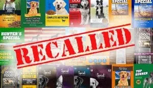 RECALL ALERT: 21 Pet Foods Across Multiple Brands Recalled over Dangerous Aflatoxin
