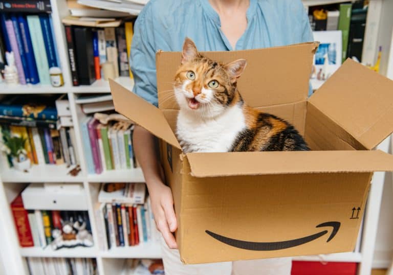 cat amazon