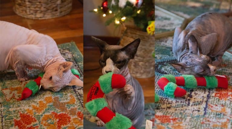 Meow-liday Giveaway: Yeowww! Catnip Toys
